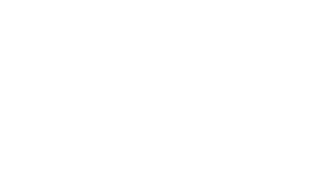 denge_logo